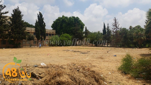 3oshb akhdar (3).jpg